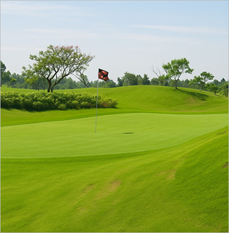 베트남 호치민 골프투어 패키지 3박...