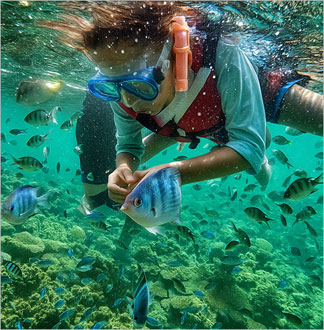 코타키나발루 사피섬 호핑투어                            