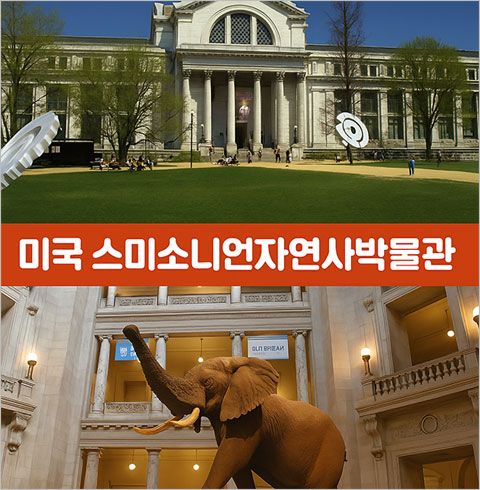 온라인 과학원정대: 집에서 즐기는 해외 박물관  