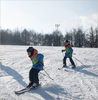 하이원스키장 4시간 어린이/성인 강...