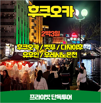 단독 온천투어 후쿠오카 우레시노 2...