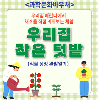 [대구] 우리집 작은 텃밭: 식물성...